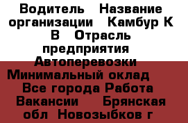 Водитель › Название организации ­ Камбур К.В › Отрасль предприятия ­ Автоперевозки › Минимальный оклад ­ 1 - Все города Работа » Вакансии   . Брянская обл.,Новозыбков г.